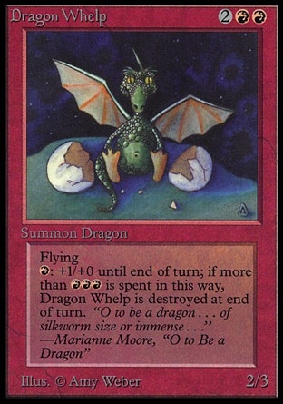 Dragon Whelp
