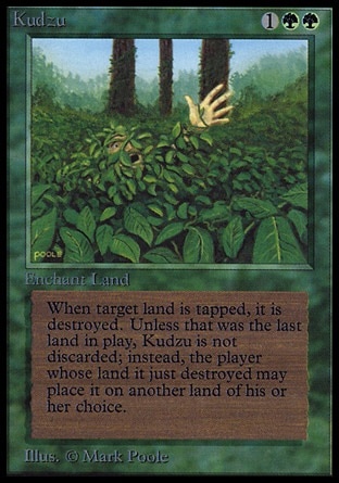 Kudzu