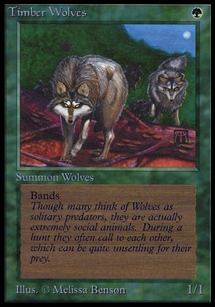 Timber Wolves
