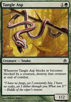 Tangle Asp