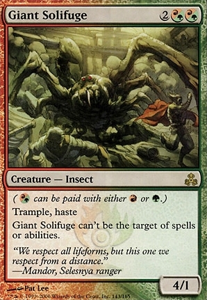 Giant Solifuge