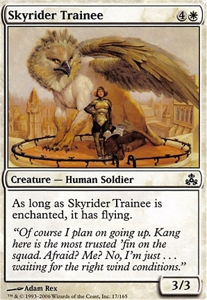 Skyrider Trainee