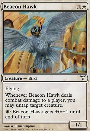 Beacon Hawk