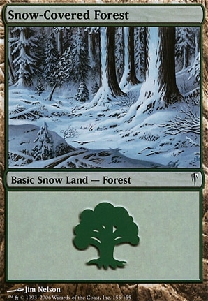 Snow-Covered Forest