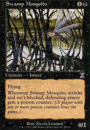 Swamp Mosquito