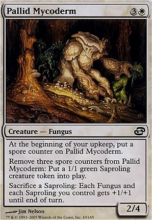Pallid Mycoderm