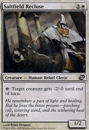 Saltfield Recluse