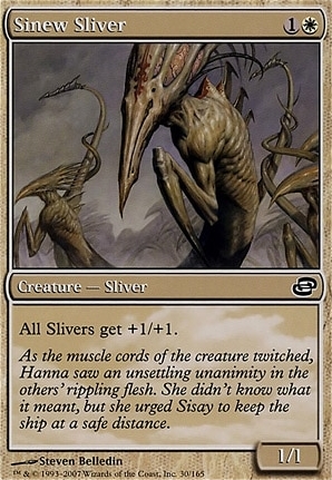 Sinew Sliver