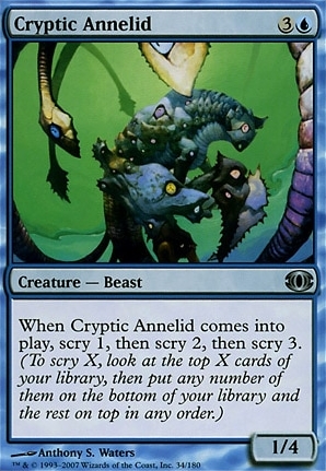 Cryptic Annelid