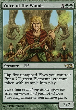 Voice of the Woods