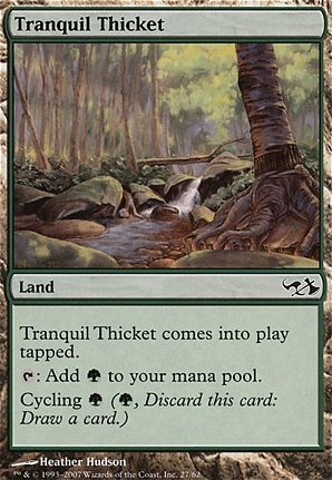 Tranquil Thicket