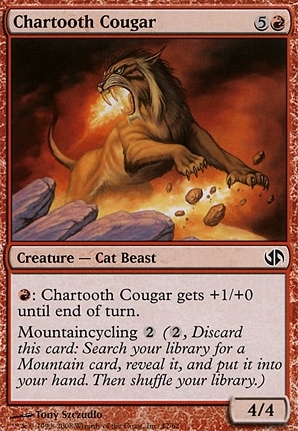 Chartooth Cougar