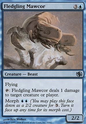Fledgling Mawcor