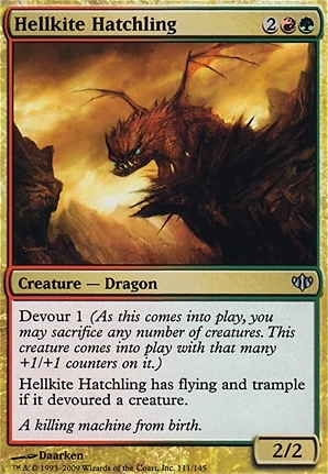 Hellkite Hatchling