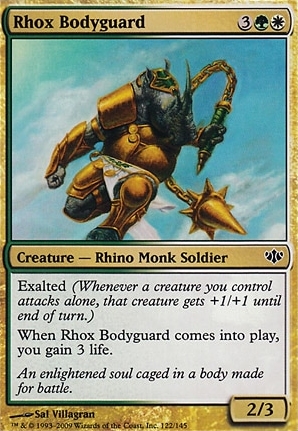 Rhox Bodyguard