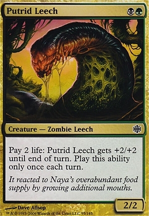 Putrid Leech