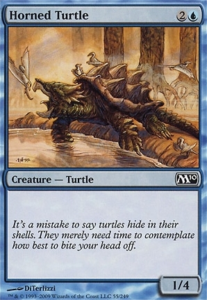 Horned Turtle