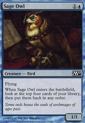 Sage Owl
