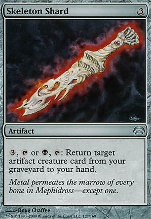 Skeleton Shard