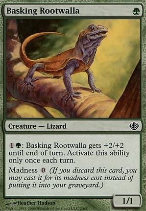 Basking Rootwalla