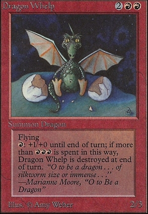 Dragon Whelp
