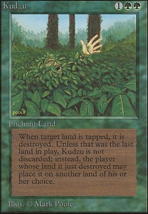 Kudzu
