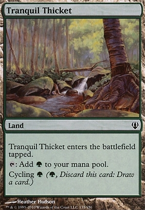 Tranquil Thicket