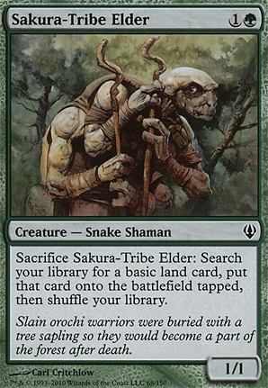 Sakura-Tribe Elder