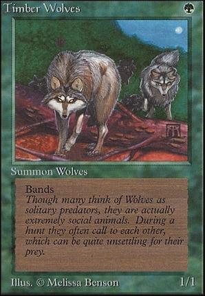 Timber Wolves