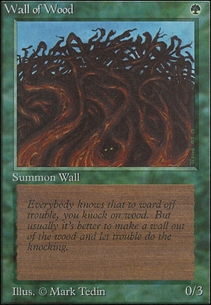 Wall of Wood