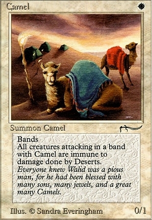 Camel