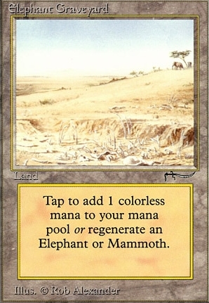 Elephant Graveyard