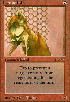 Hurr Jackal