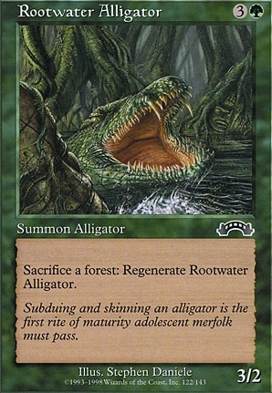 Rootwater Alligator
