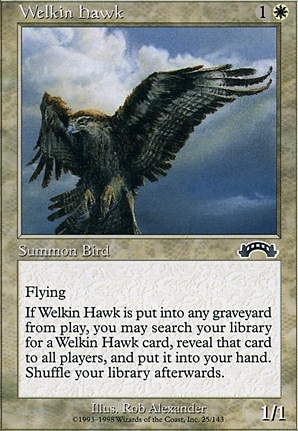 Welkin Hawk