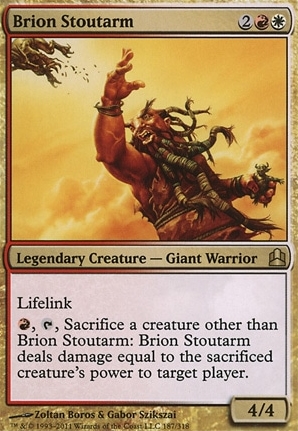 Brion Stoutarm