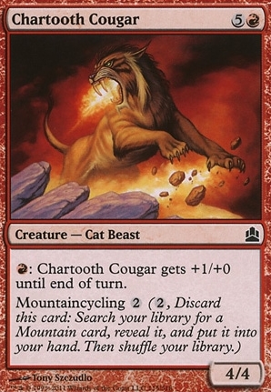 Chartooth Cougar