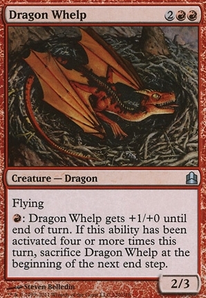 Dragon Whelp