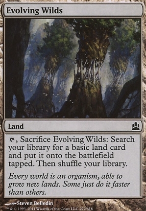 Evolving Wilds