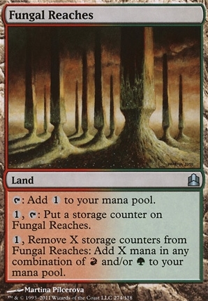 Fungal Reaches