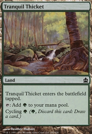 Tranquil Thicket