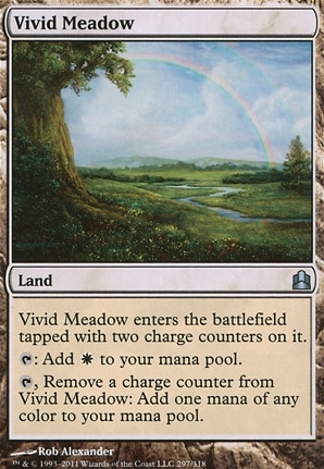 Vivid Meadow