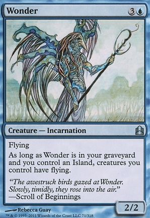 Wonder