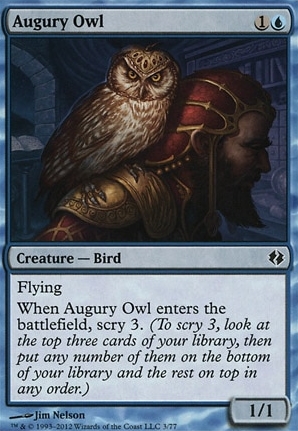 Augury Owl
