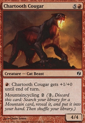 Chartooth Cougar