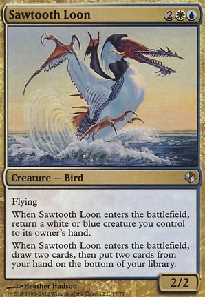 Sawtooth Loon