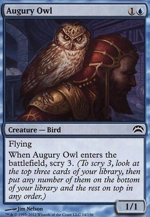 Augury Owl