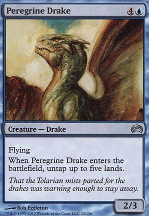 Peregrine Drake