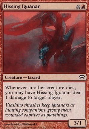 Hissing Iguanar
