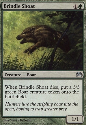 Brindle Shoat